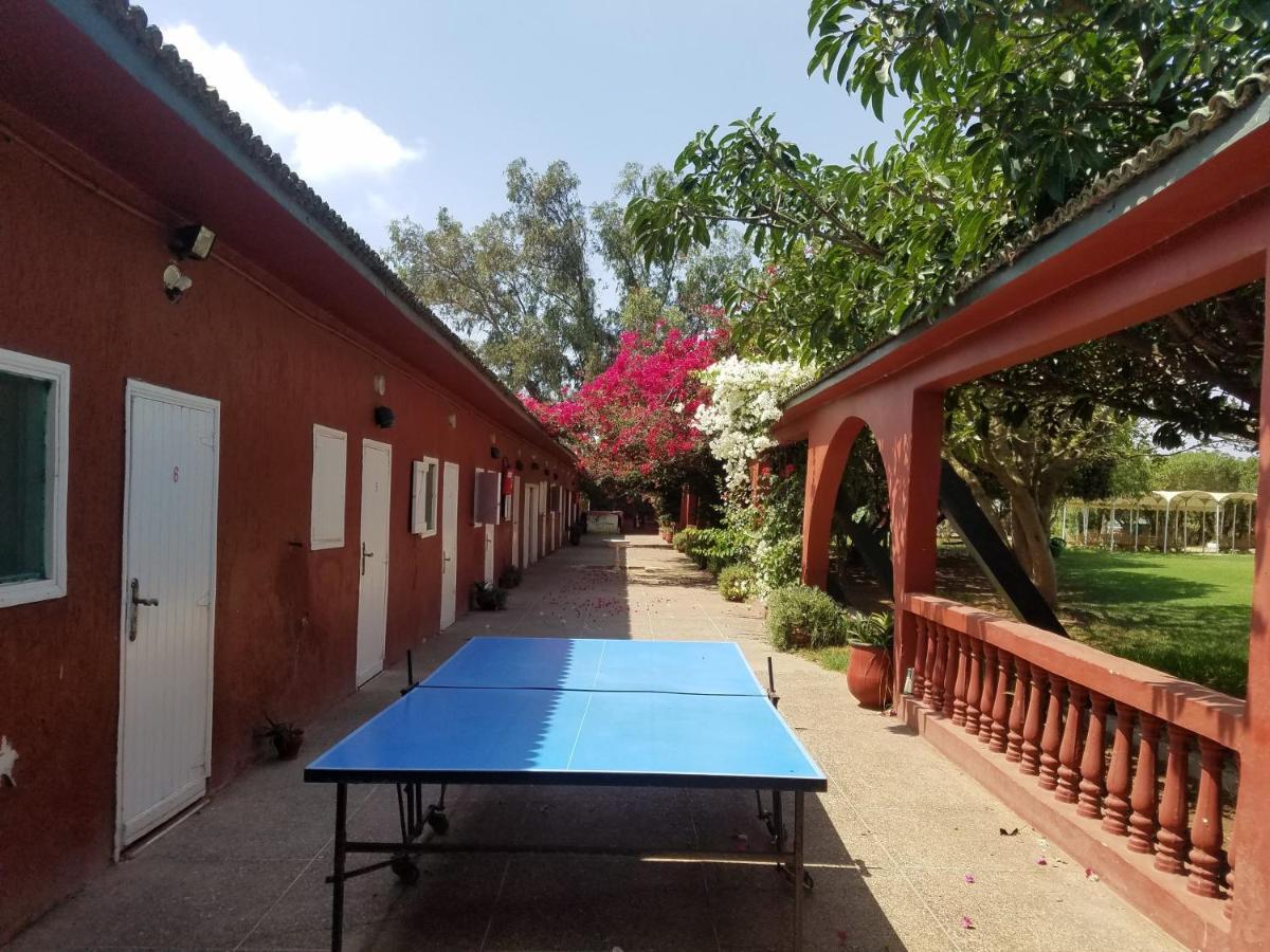 Bed and Breakfast Ferme Hippique Chtouka Dar Said Ben Hajj Exterior foto